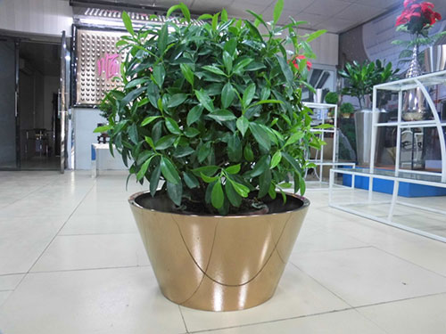 廣東汕頭不銹鋼花盆哪家做的好？